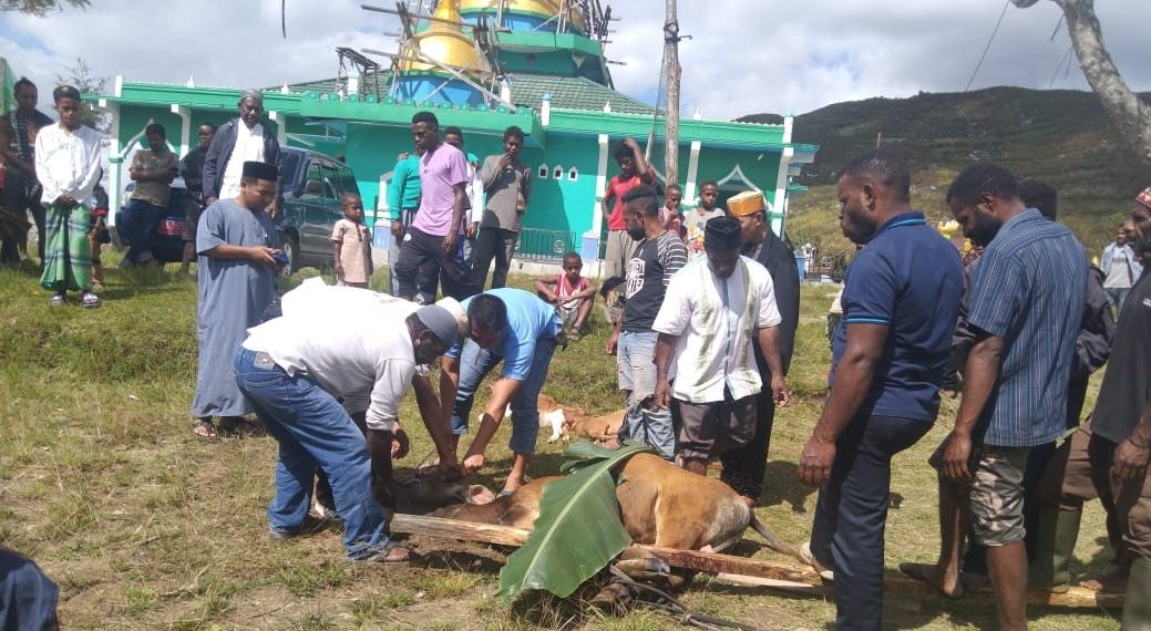 PWNU Papua Salurkan Hewan Kurban ke PCNU dan Pondok Pesantren