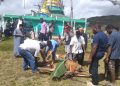 PWNU Papua Salurkan Hewan Kurban ke PCNU dan Pondok Pesantren