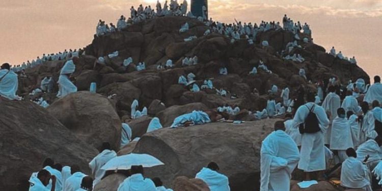 PWNU Papua Salurkan Hewan Kurban ke PCNU dan Pondok Pesantren