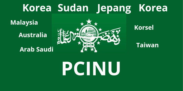 Inilah Fungsi PCINU yang Harus Nahdliyin Ketahui